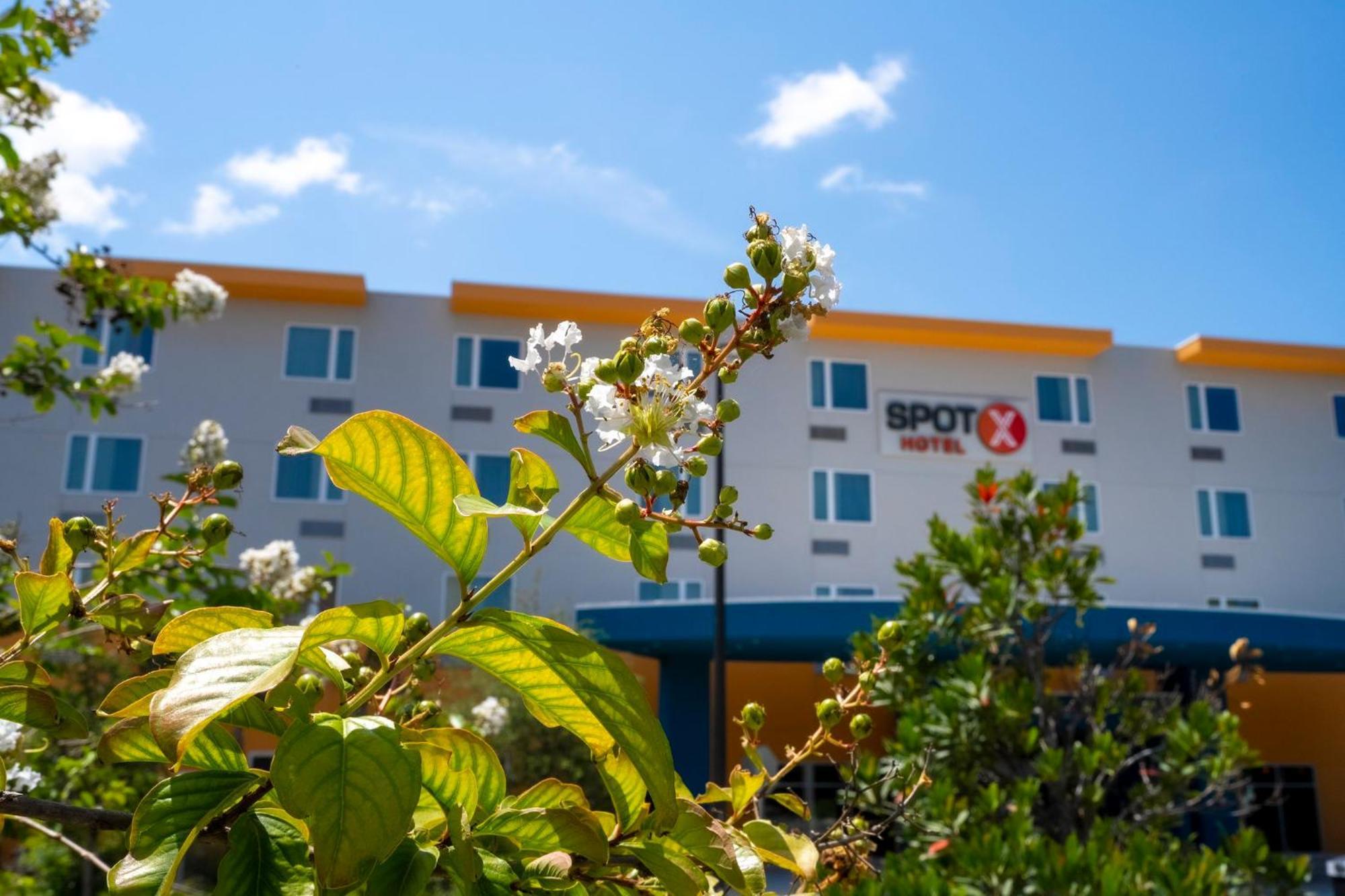 Spot X Hotel Orlando Intl Dr By The Red Collection Lake Buena Vista Exteriér fotografie